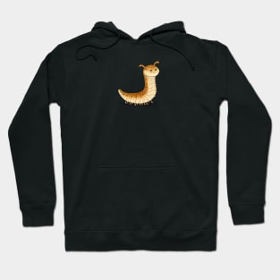 Cute Snake Millipede Hoodie